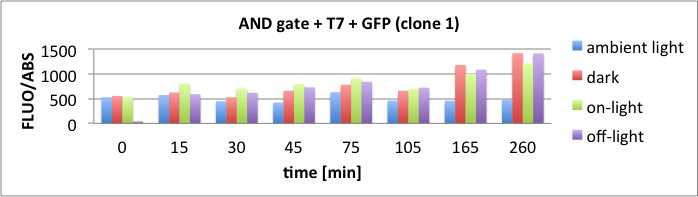 26.10.2011 AND Gate Assay clone 1 Diagram.jpg