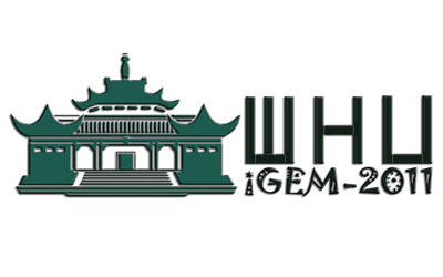 WHU-China logo.png
