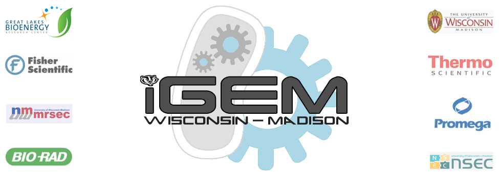 Madison logo2.jpg