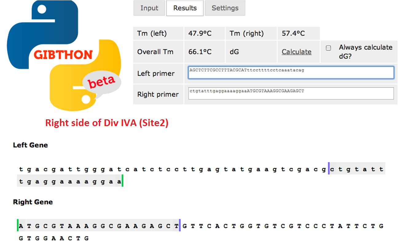Right side of Div IVA sequence