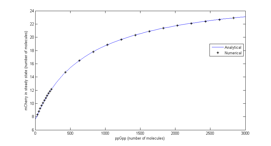 Comparison between numerical simulation and analytical solution in steady state for different values of ppGpp