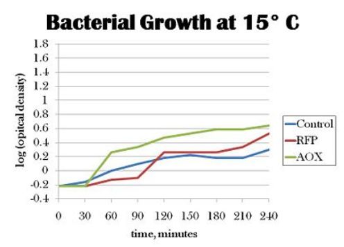 Bacterial growth 15°C.jpg