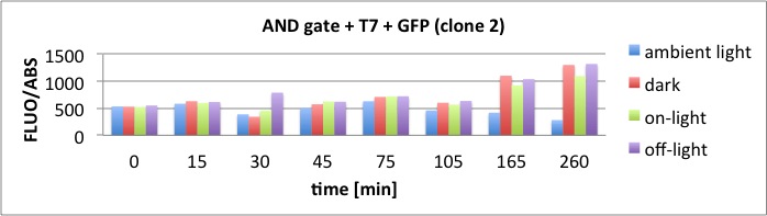 26.10.2011 AND Gate Assay clone 2 Diagram.jpg