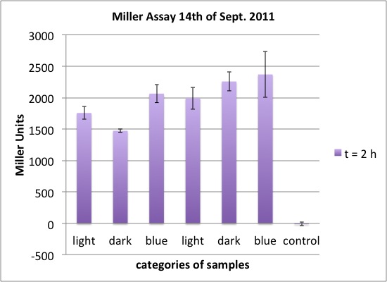 Miller Assay 14.9.2011 Diagramm t=2h.jpg