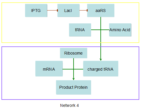Network 4 represents PT7-TDRS and Pbla-Luc-TAG system.