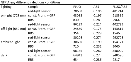 25.10.2011 GFP Assay over night under different lighting conditions Table.jpg