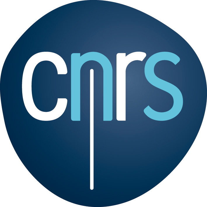 Logo cnrs.jpg