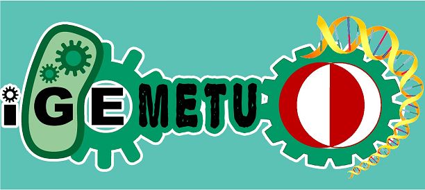 METU-Ankara logo.png