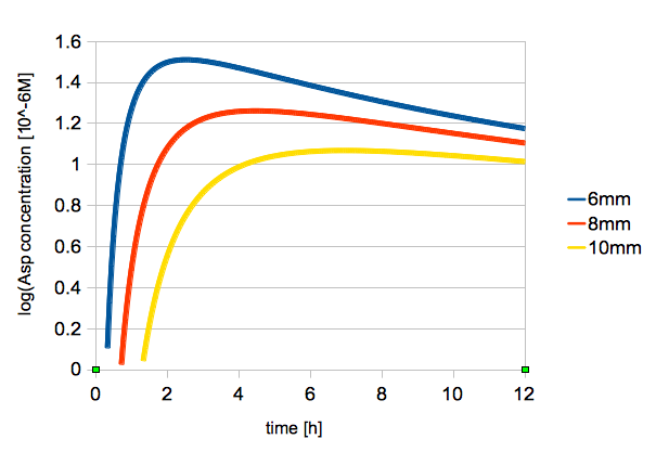 Figure 3. Change in L-Asp Concentration Over Time (2, 6, 8 mm from the center)
