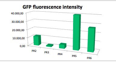 GFP fluorescence intensity dependent on the strenght of promoter and RBS.