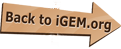 TU Delft back to igem.org.png