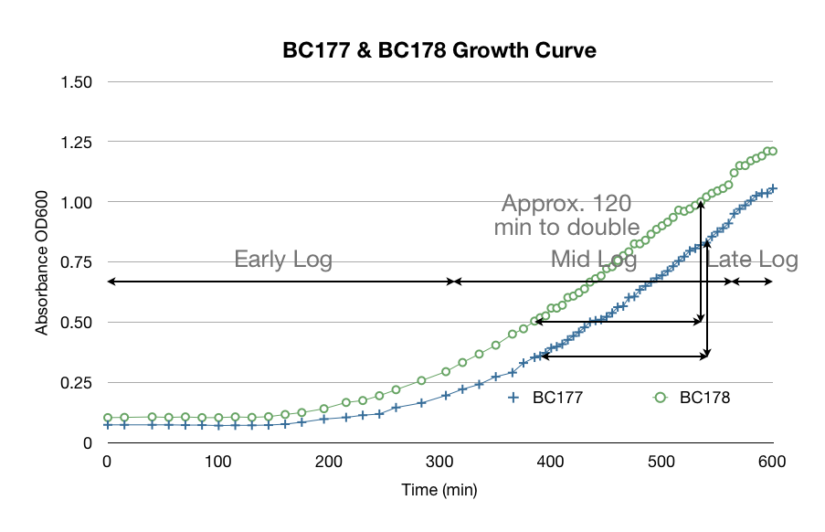 Yeast Growth Curve.jpg