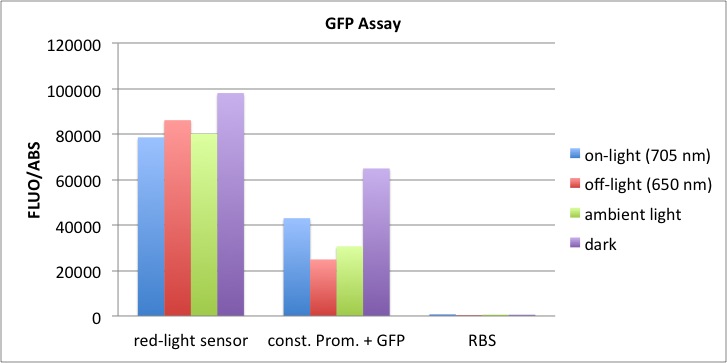 25.10.2011 GFP Assay over night under different lighting conditions Diagram.jpg