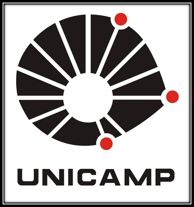 UNICAMP-EMSE Unicamp.jpg