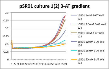 pSR01 culture 1 (duplicate 2) 3-AT gradient