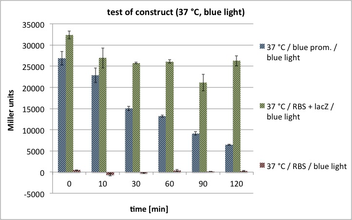 Test of construct (37 °C, blue light).jpg