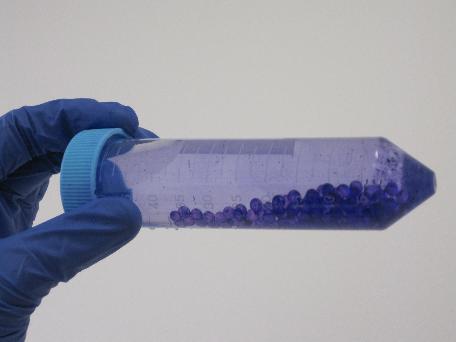 Visible layers of biofilm as visualized by crystal violet