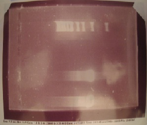 Gel - PCR Product Start ERG biobricks.jpg