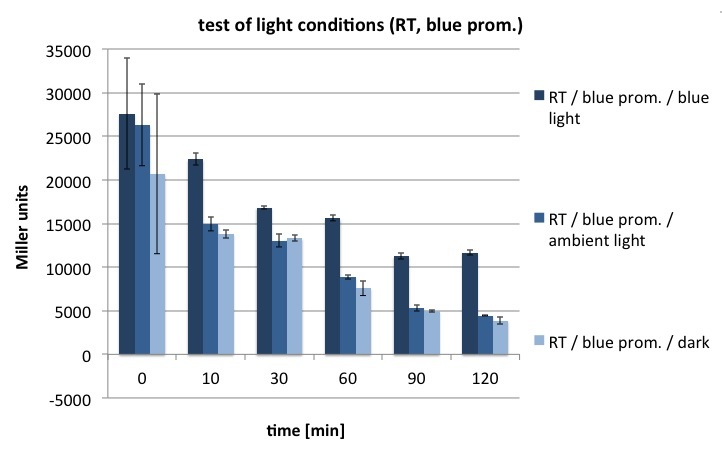 Test of light conditions (RT, blue prom.).jpg