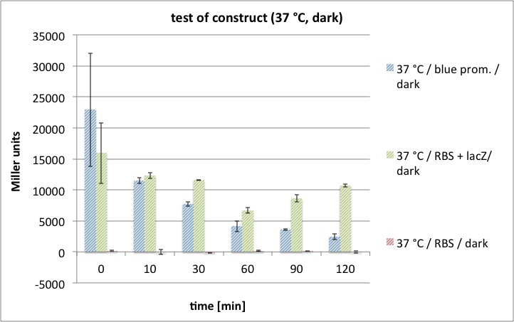 Test of construct (37 °C, dark).jpg