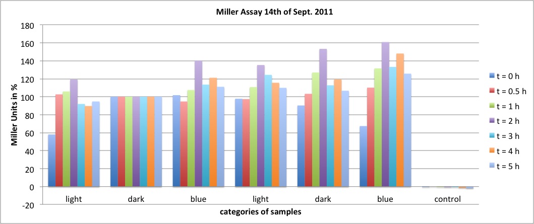 Miller Assay 14.9.2011 Diagramm prozentual.jpg