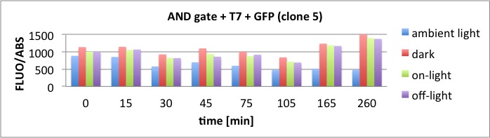 26.10.2011 AND Gate Assay clone 5 Diagram.jpg