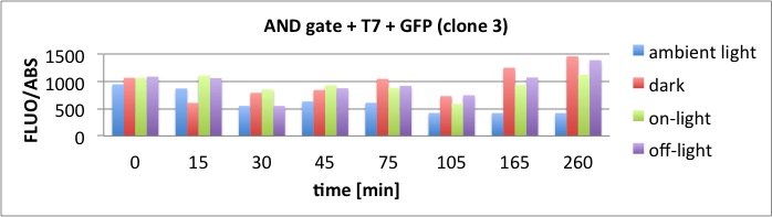 26.10.2011 AND Gate Assay clone 3 Diagram.jpg