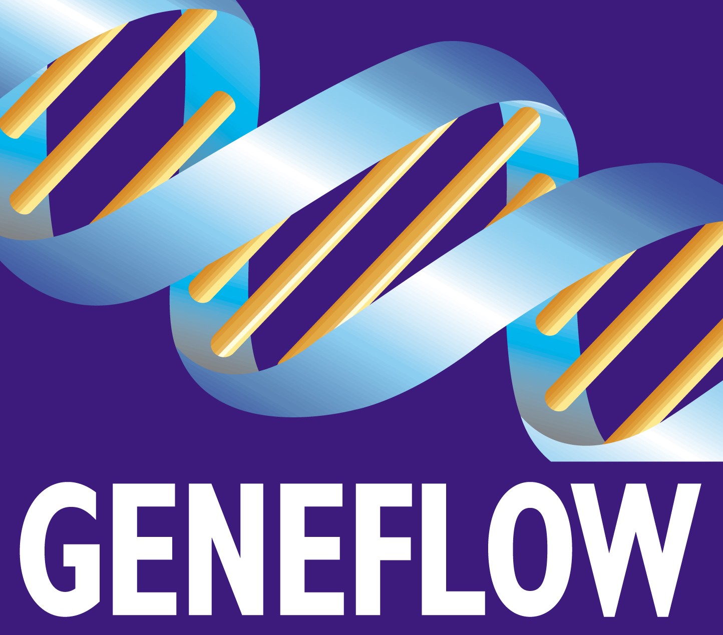 Cam Genflow logo final.jpg