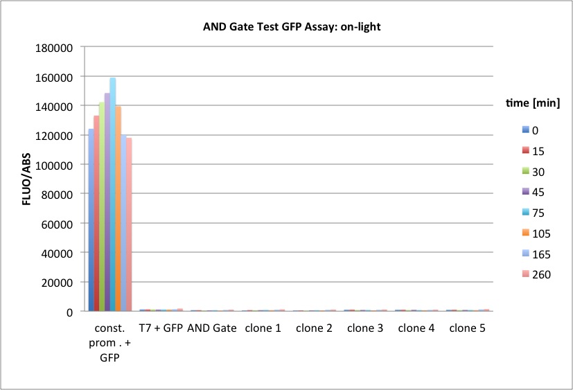 26.10.2011 AND Gate Assay on-light Diagram.jpg