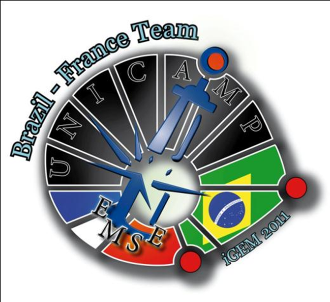 UNICAMP-EMSE Brazil France logo.png