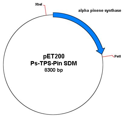PET 200 Ps-TPS-Pin SDM.jpg
