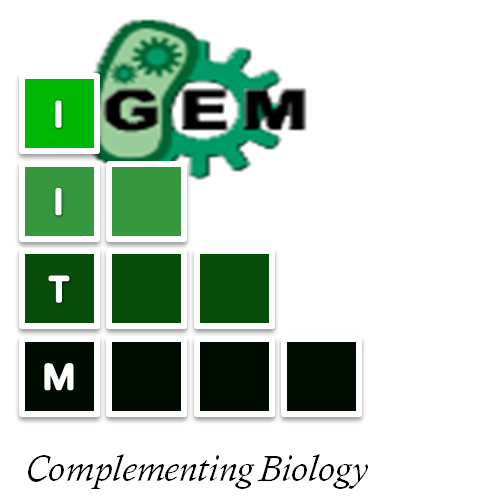 IITM iGEM logo.png