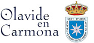 Olavideencarmona icon.jpg