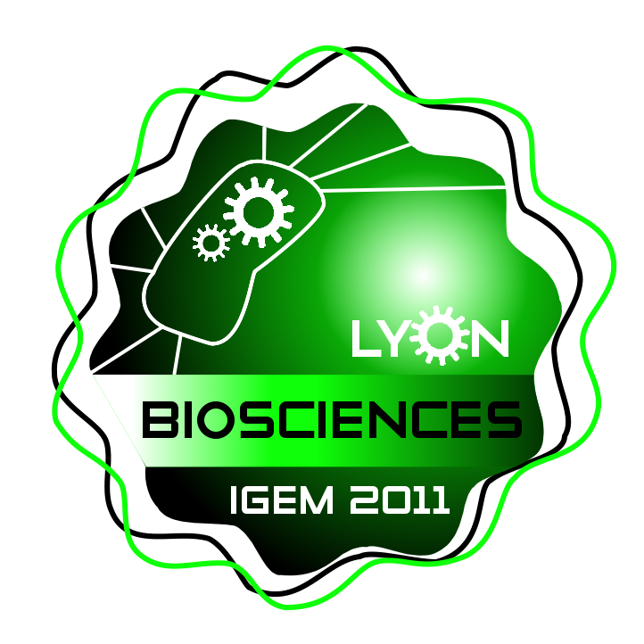 Logo Lyon-INSA-ENS.png