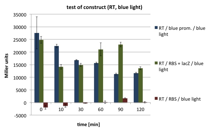 Test of construct (RT, blue light).jpg