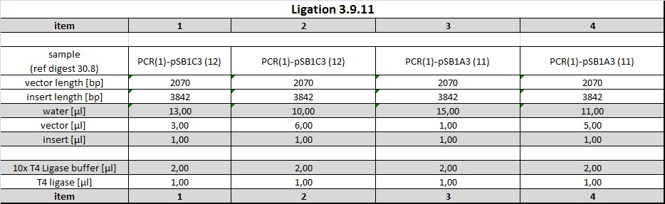 110903 ligation susan table.jpg