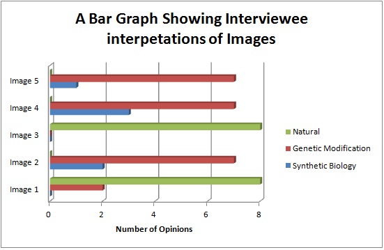 Bar Graph from interviews.jpg
