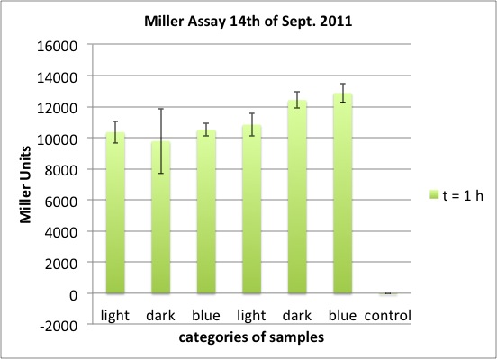 Miller Assay 14.9.2011 Diagramm t=1h.jpg