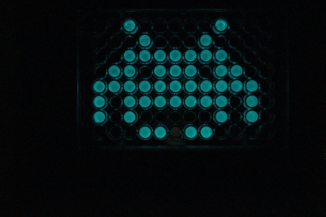 Cam Space invader lights.jpg
