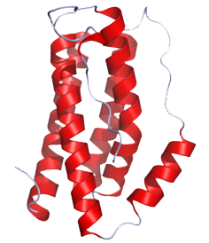Fig.1 Structure of IL-6(Cite from: http://www.pdb.org/pdb/explore/explore.do?structureId=1ALU)