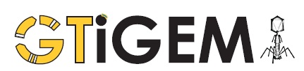 GeorgiaTech logo.jpg