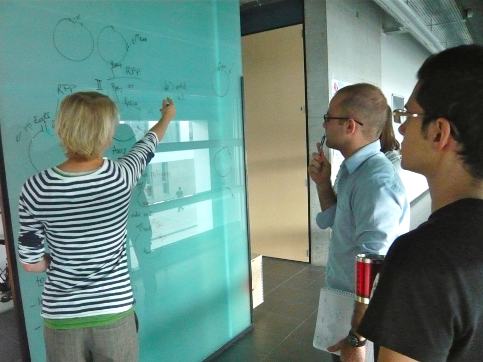 EPFL2011 BM glass strategy board 2.jpg
