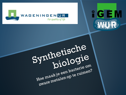 Pict syntbiopresentationWUR.png