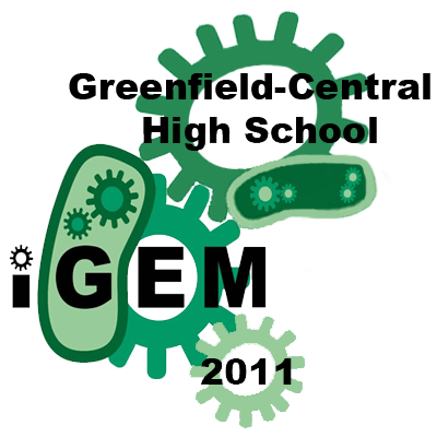 IGem logo.png