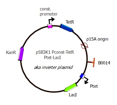 EPFL TetR plasmid with LacI.jpg
