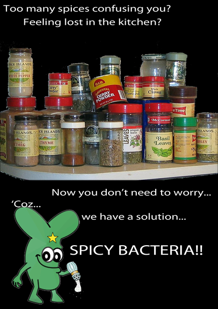 Spicy Bacteria.jpg