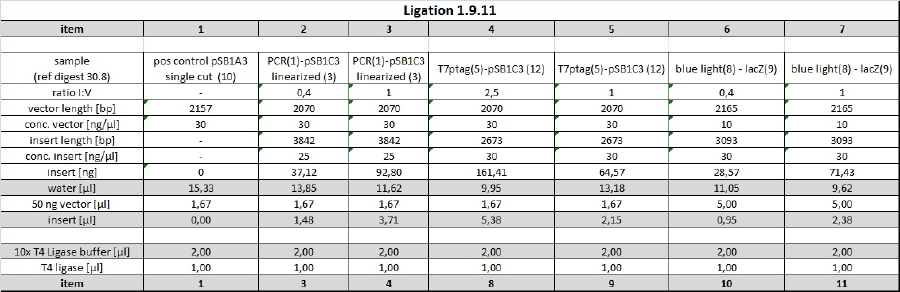 110901 ligation tho table.jpg